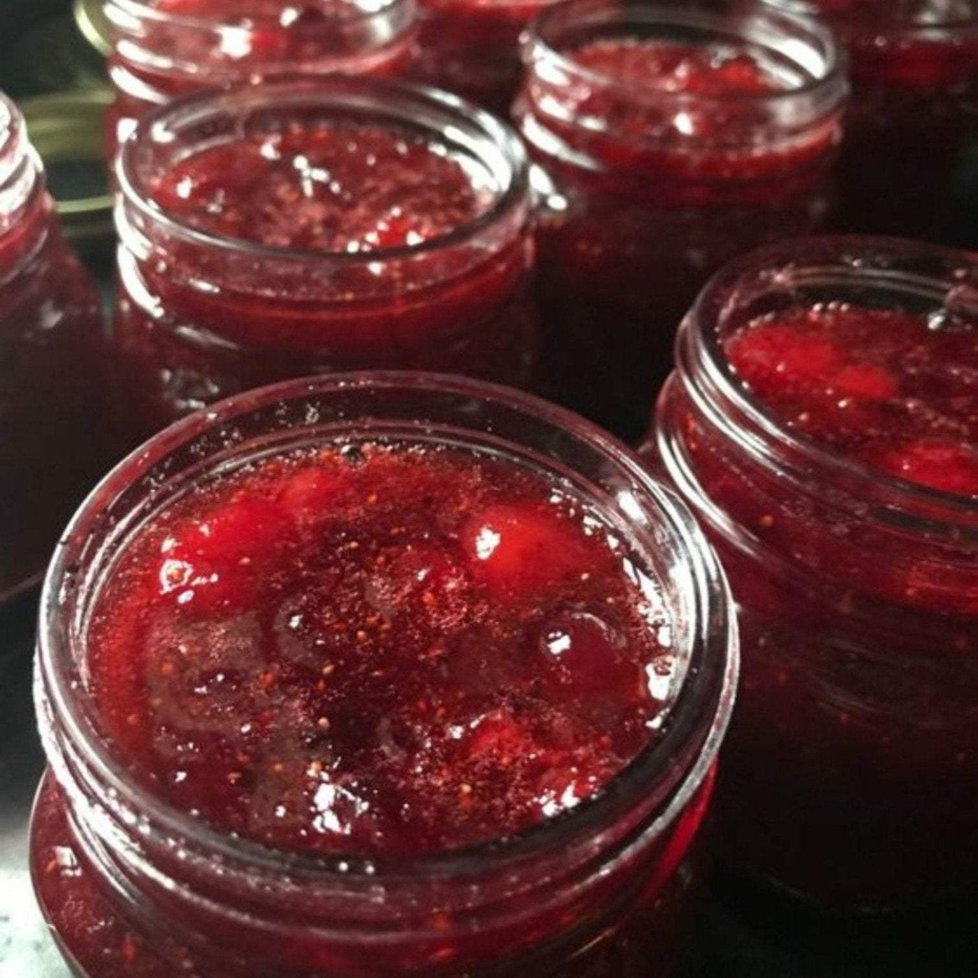Festive Christmas Jam in jars with cranberries, oranges, and spices.